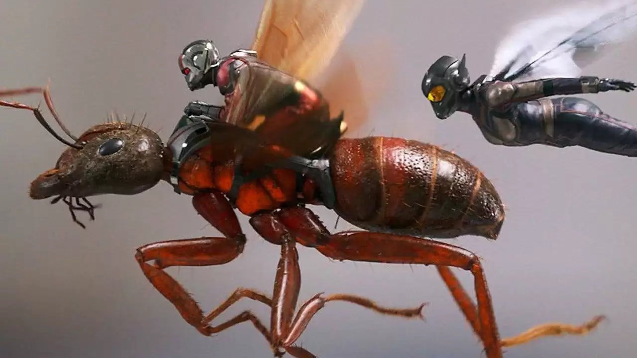 داستان Ant-man and The Wasp Quantumania