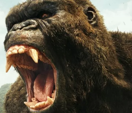 شروع ساخت اولین سریال تلویزیونی کینگ کونگ King Kong